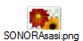 SONORAsasi.png